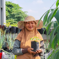 uploads/editorial/sahabat_petani/lily-almasih-286577667d3db9e.jpeg
