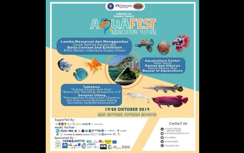 uploads/event/2019/10/aquafest-2019-590144a45656728.jpg