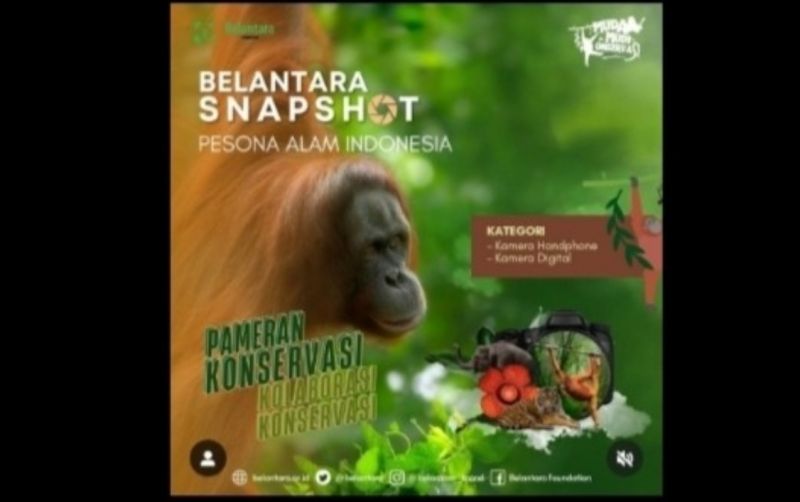 uploads/event/2024/09/lomba-fotografi-biodiversitas-belantara-588014606ef871e.jpg