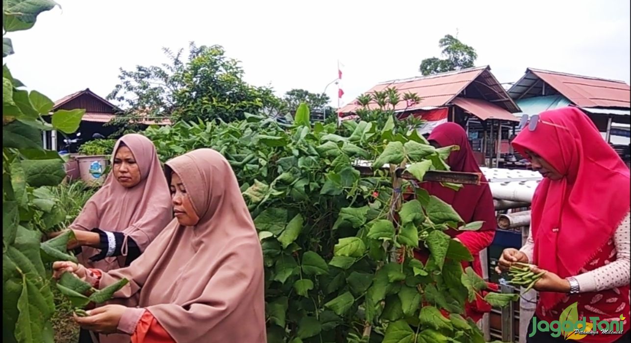 HUT RI, Petani di Bogor Kibarkan Bendera