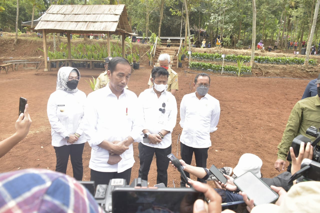 Jokowi Resmi Luncurkan Program Kelapa Genjah 1 Juta Batang