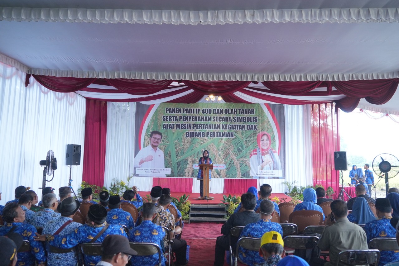 Pencanangan panen raya padi program IP 400 di Desa Tlingsing, Kecamatan Cawas, Klaten