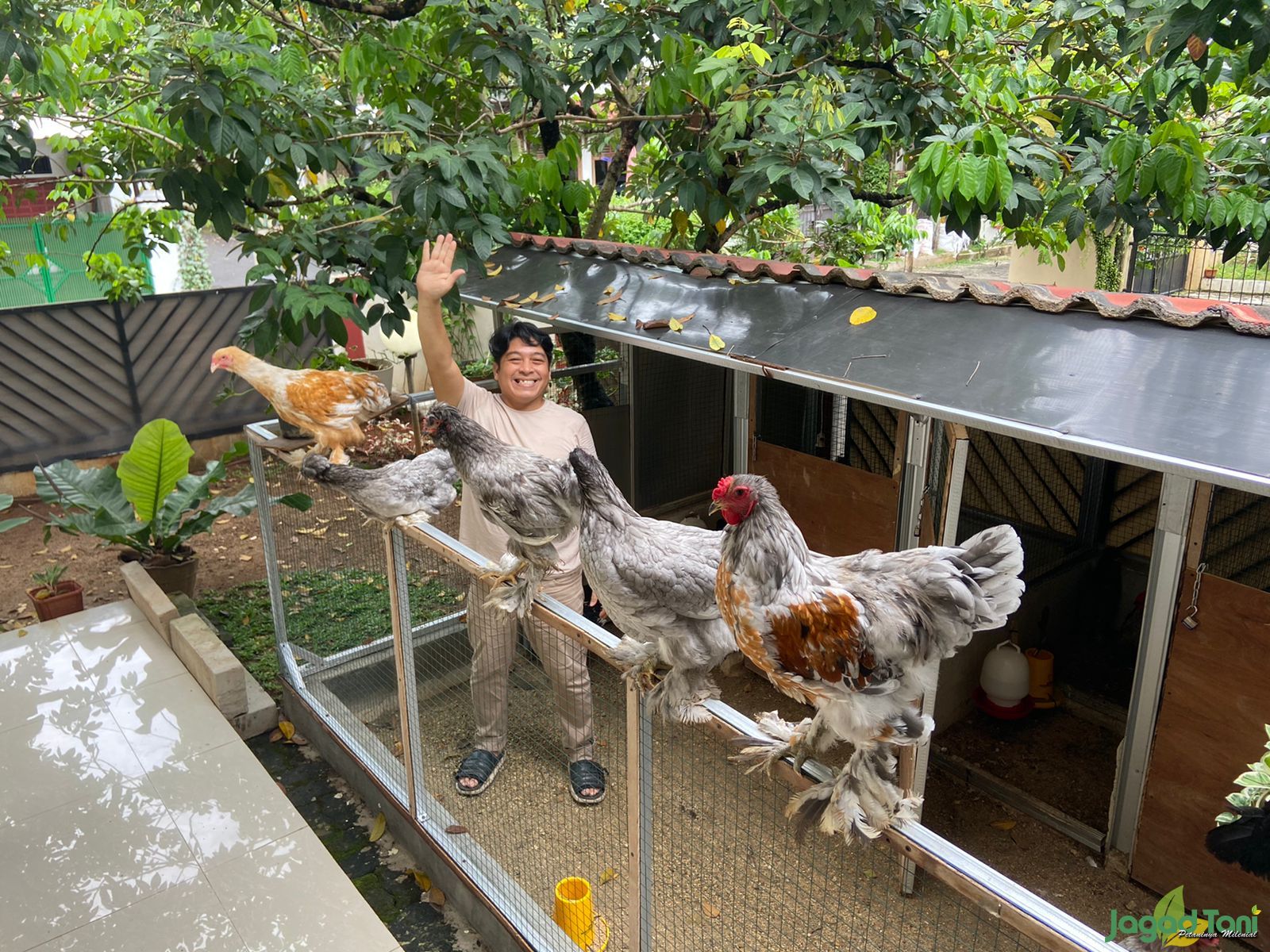 IBHA Farms, Sukses Beternak Ayam Hias 