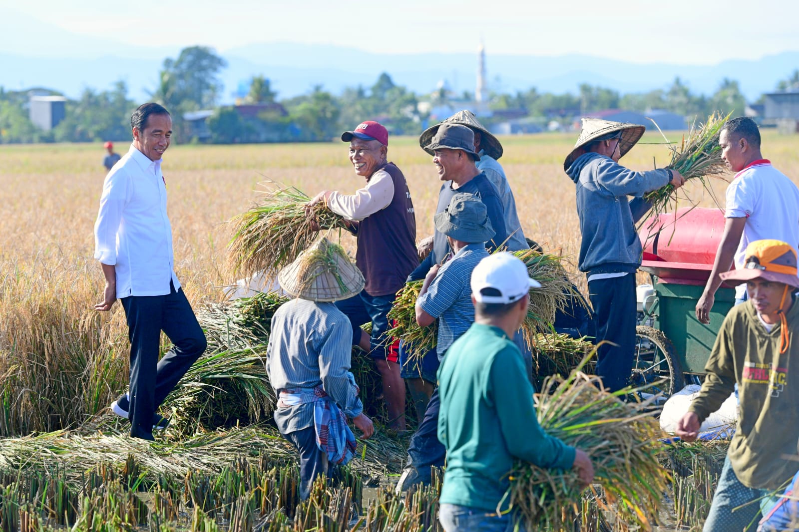 Jokowi berharap hasil panen raya di Maros dapat penuhi Kekurangan provinsi lain