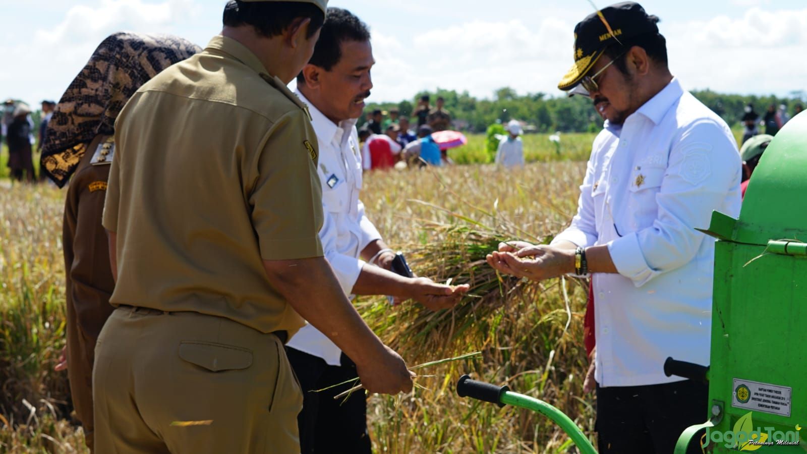 Menteri Pertanian melakukan panen raya padi di Klaten