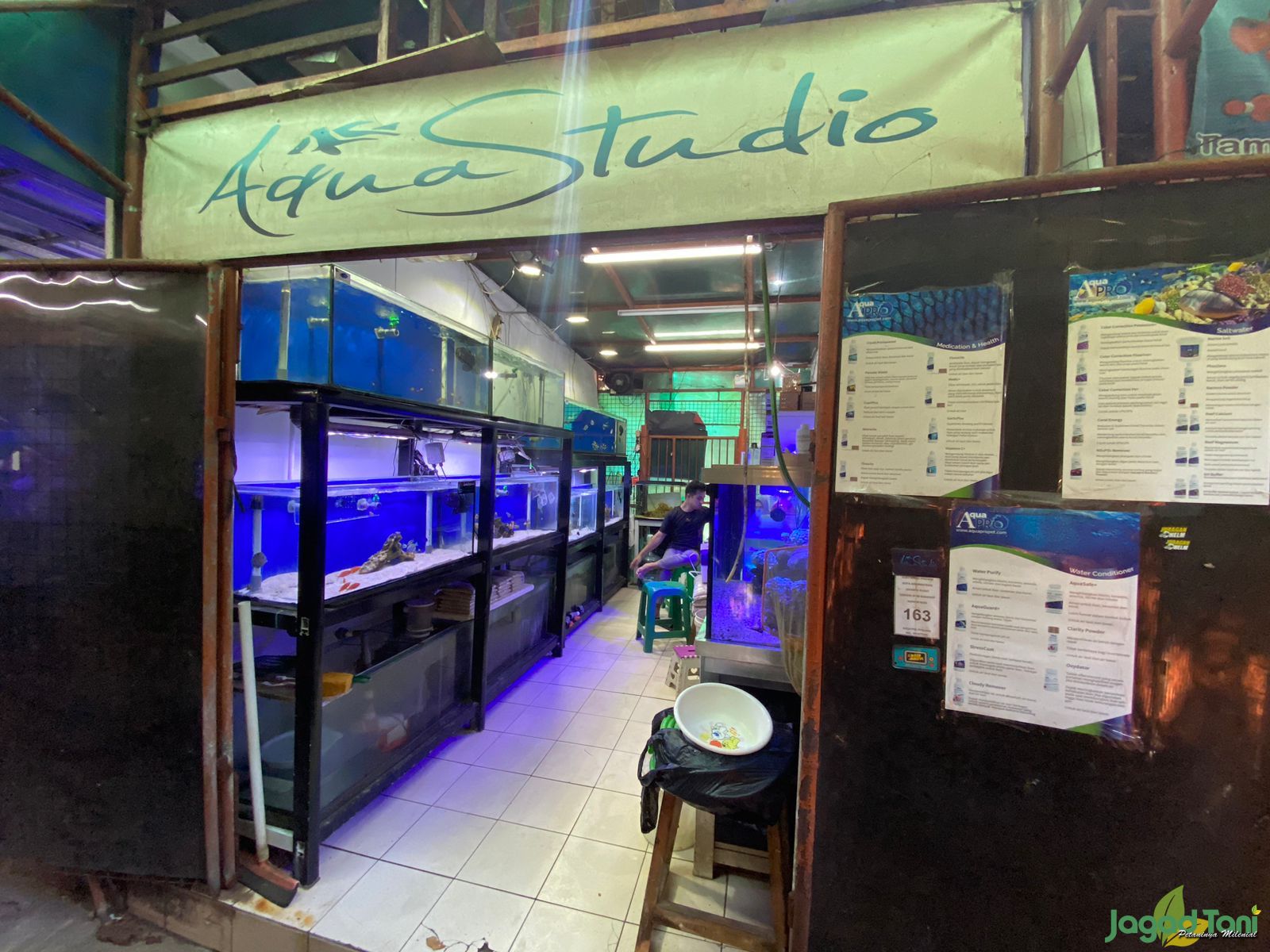 Kios ikan hias air laut pasar Sumenep Jakarta 