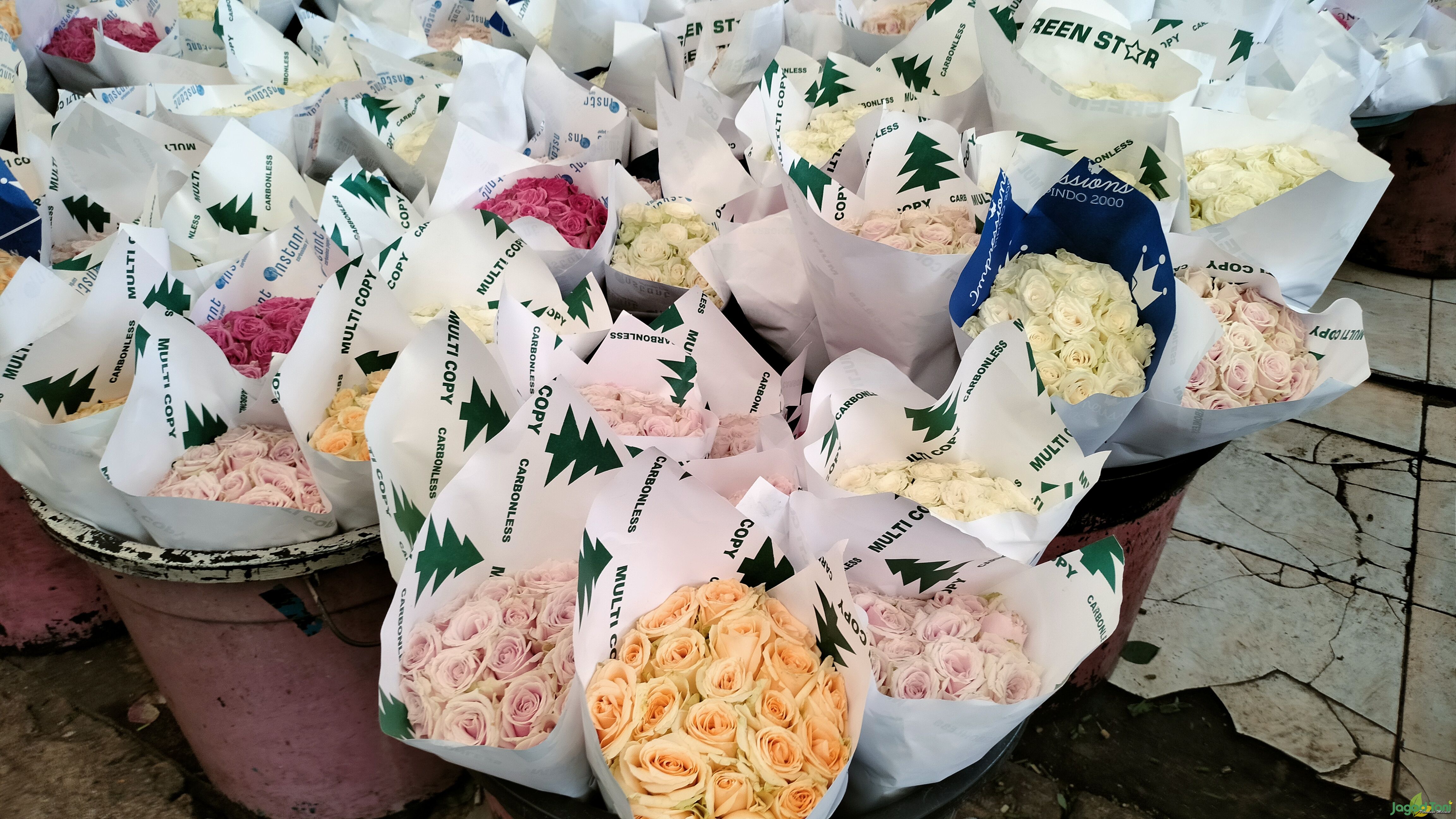 Bunga Cantik nan Wangi di Pasar Bunga - Rawa Belong