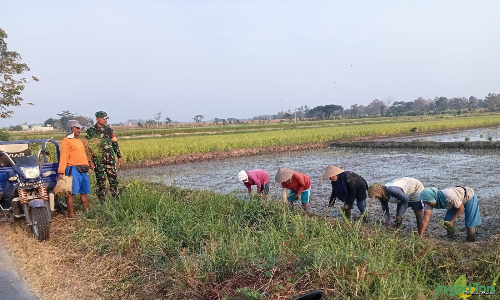 Anggota TNI melakukan pendampingan percepatan masa tanam padi