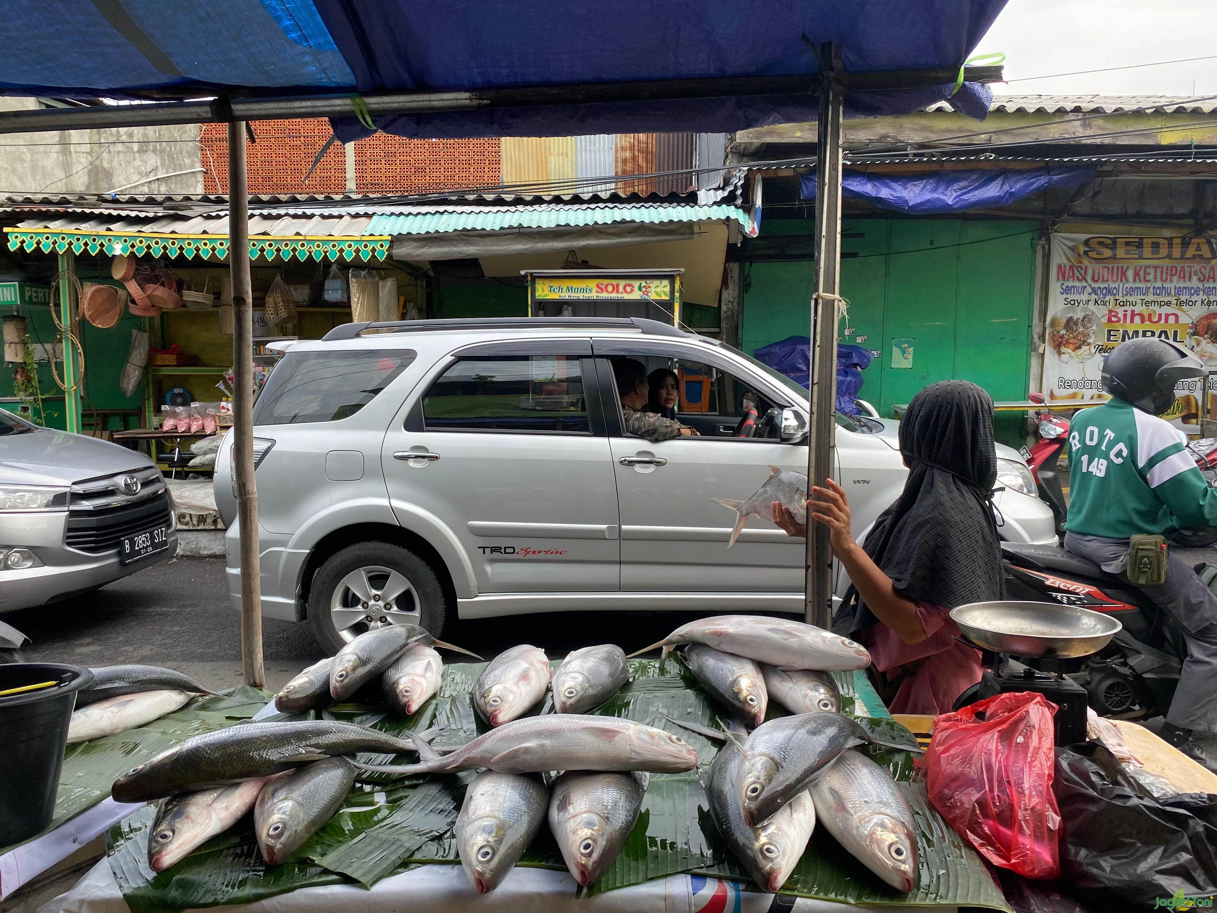 Pedagang ikan Bandeng di pasar Rawa Belong 