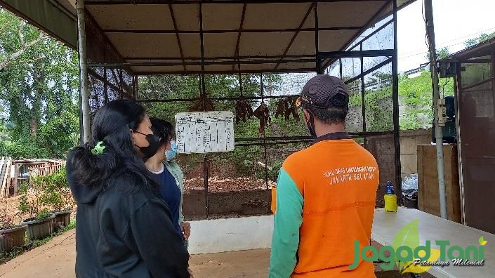 Larva BSF Kurangi Penumpukan Sampah Organik