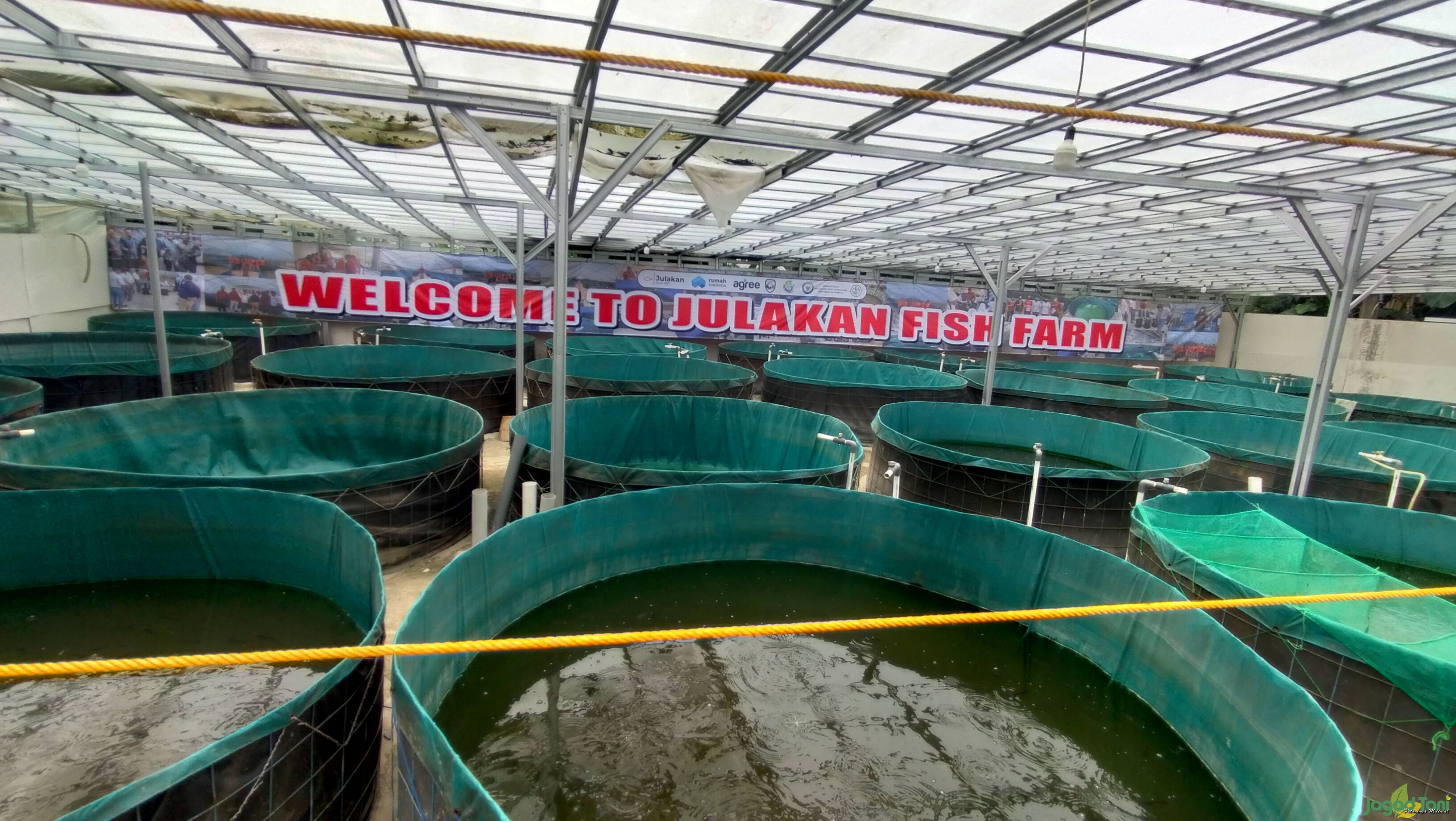 Julakan Fish Farm - PT Juragan Eternak Indonesia 