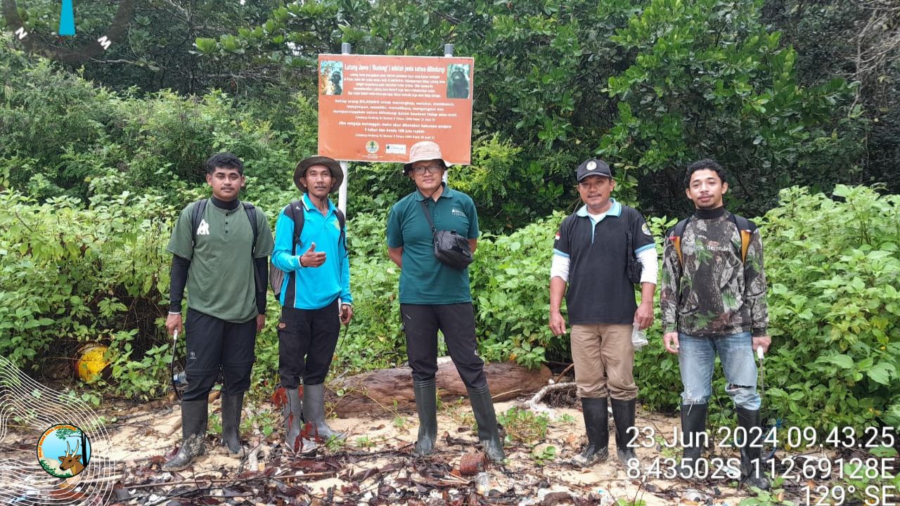 BBKSDA Jatim Lakukan Survei Lokasi Pelepasliaran Lutung