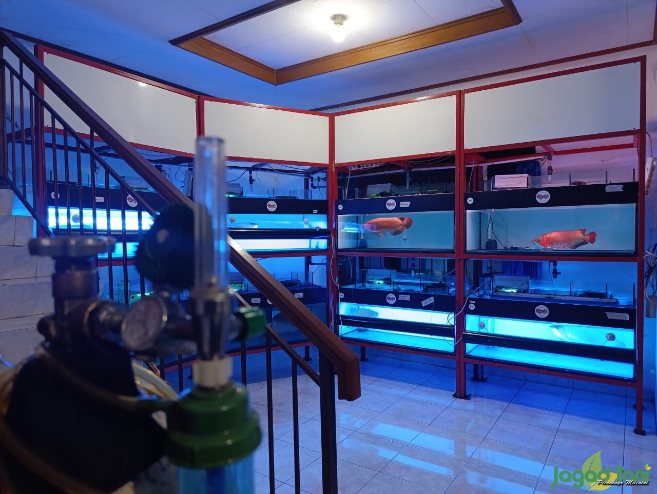 Amerta Aquatics berada di Depok