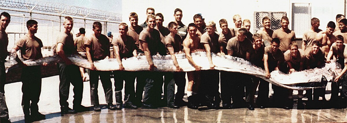 Ikan Oarfish yang ditemukan pada tahun 1996 di tepi Samudera Pasifik dekat San Diego, California. Fo