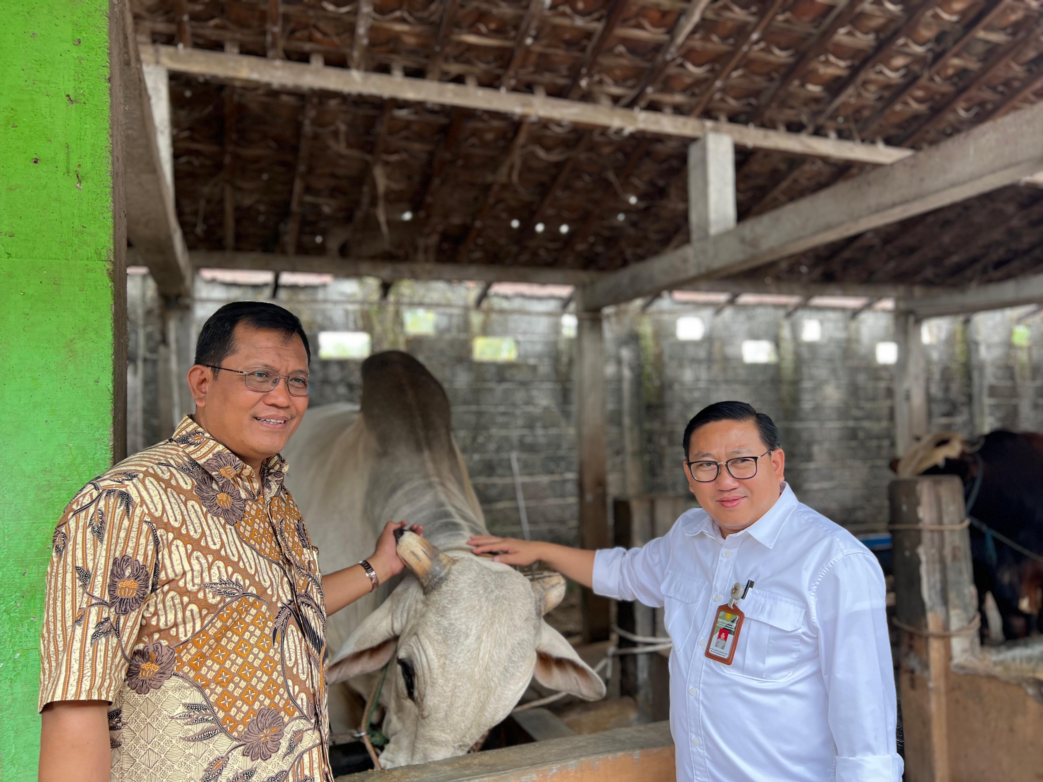 Direktur Jenderal Peternakan dan Kesehatan Hewan (Dirjen PKH), Agung Suganda tinjau Bengkel Sapi di 