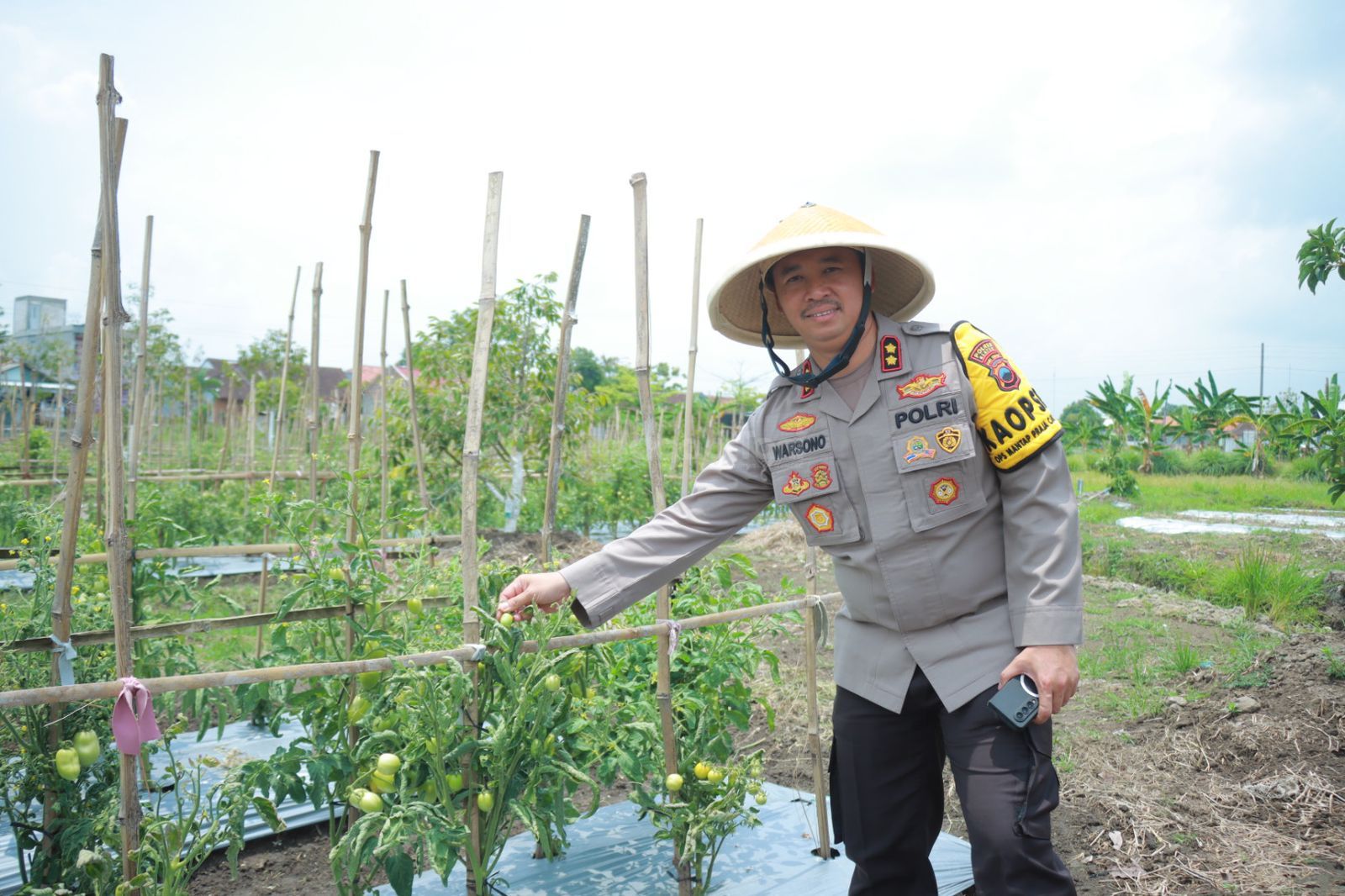 Polres Klaten mengecek lahan ketahanan pangan