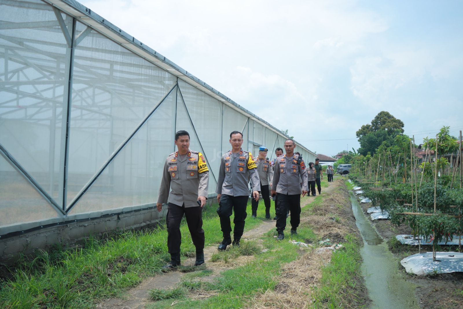 Polres Klaten mengecek lahan ketahanan pangan