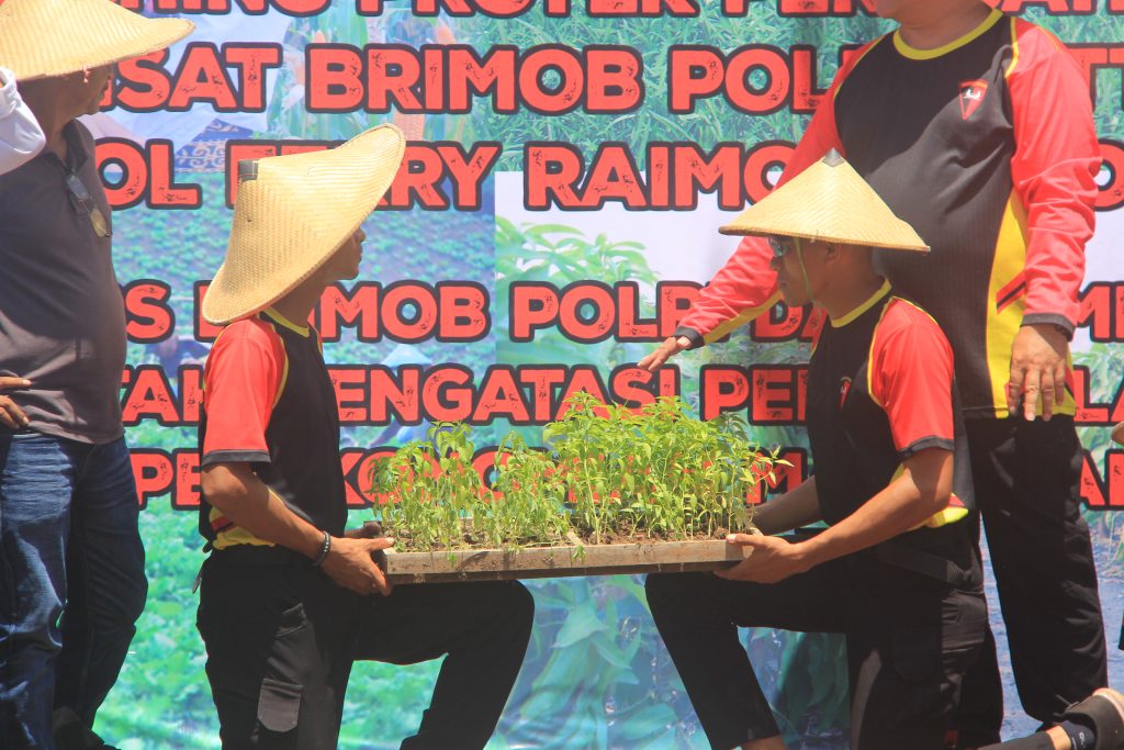 Kolaborasi Pertanian dan Brimob Polda NTT: Wujudkan Kedaulatan Pangan di NTT