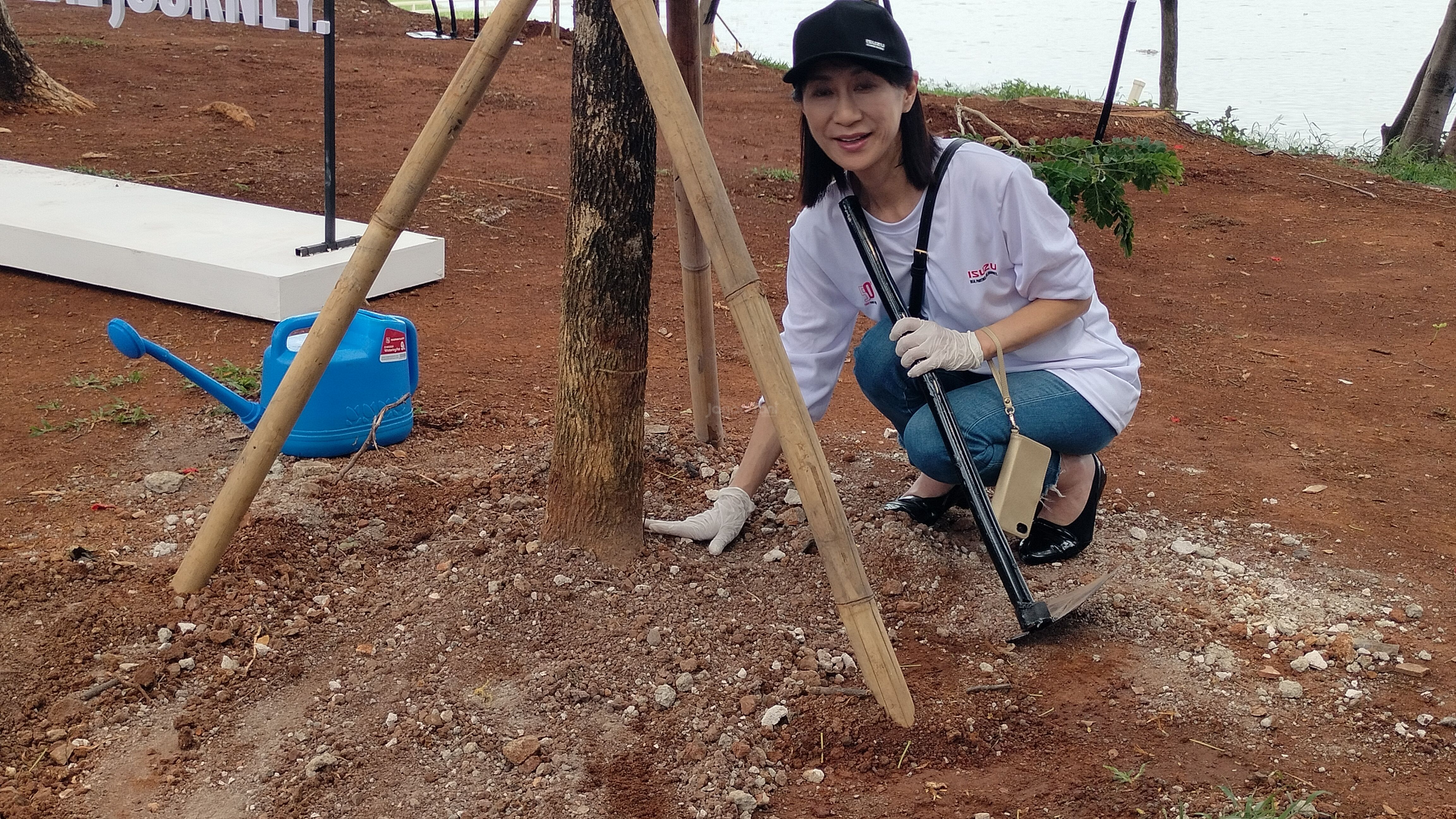 CSR Isuzu dengan menanam pohon Trembesi di waduk pluit 