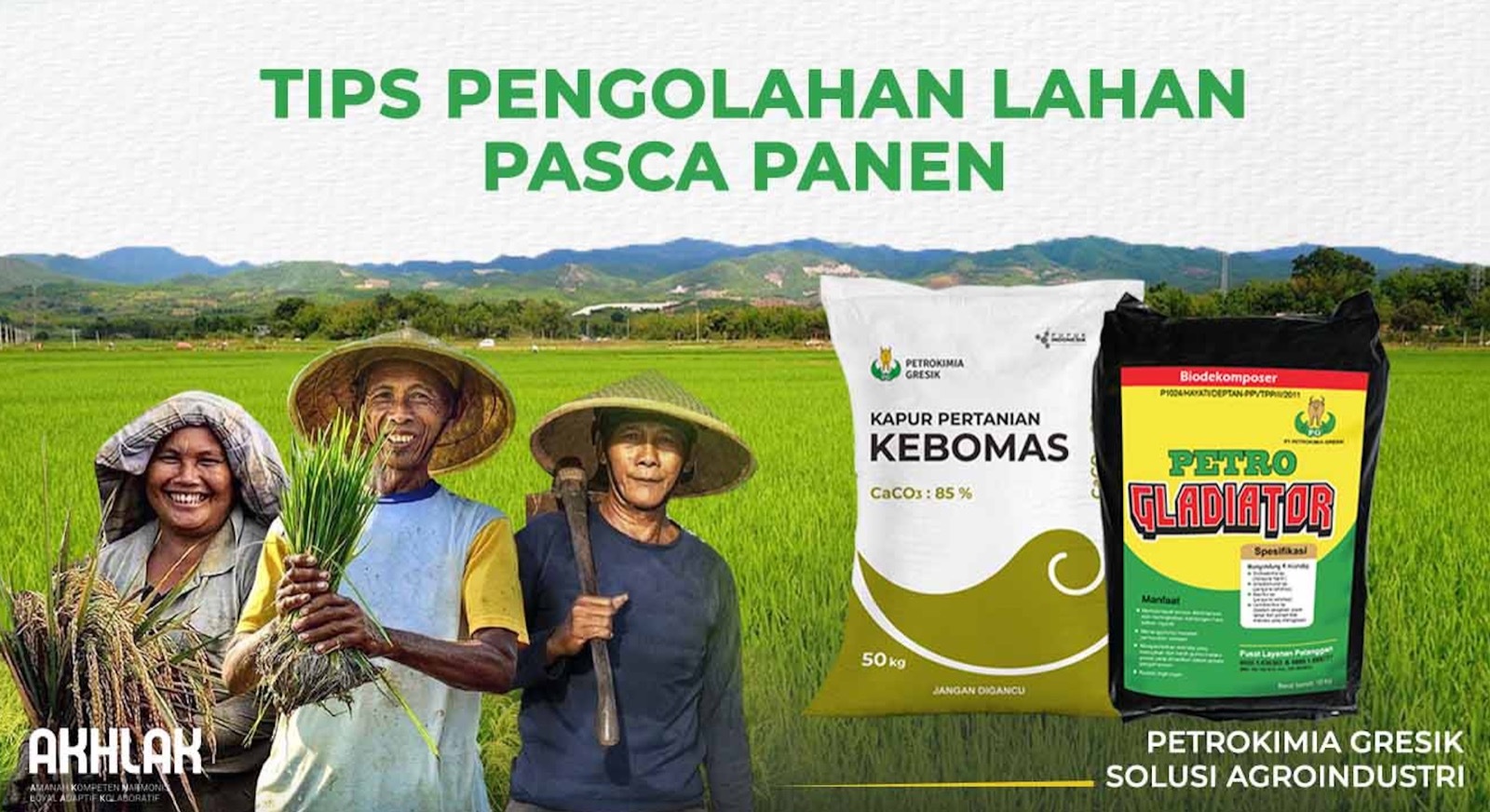 Cara mengolah lahan setelah panen