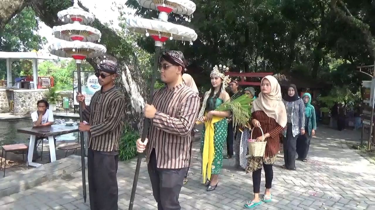 Tradisi wiwitan di Desa Ponggok, Polanharjo, Klaten, Jawa Tengah