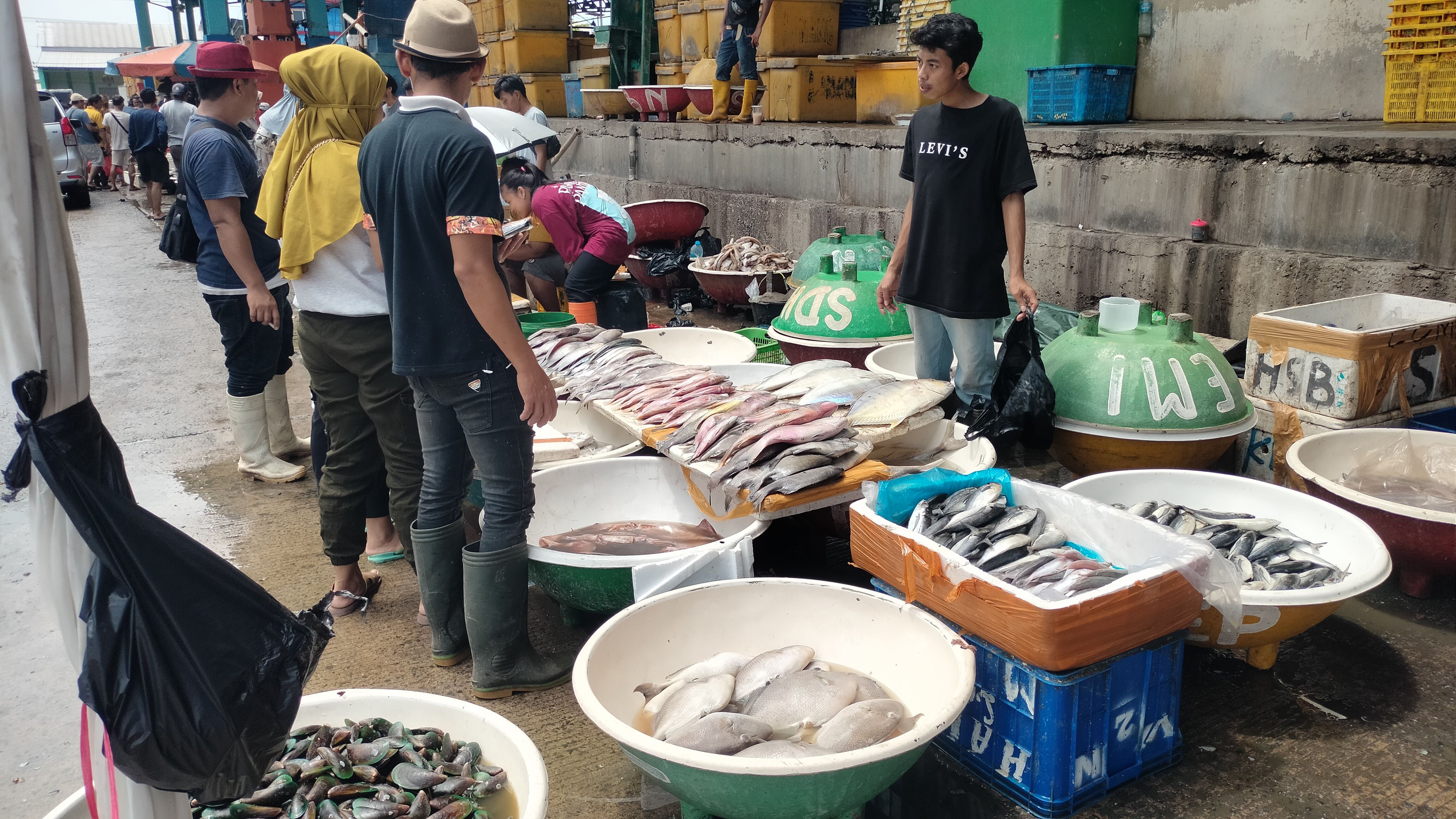 Berbagai Ikan laut segar tersedia di pasar Ikan Muara Angke 