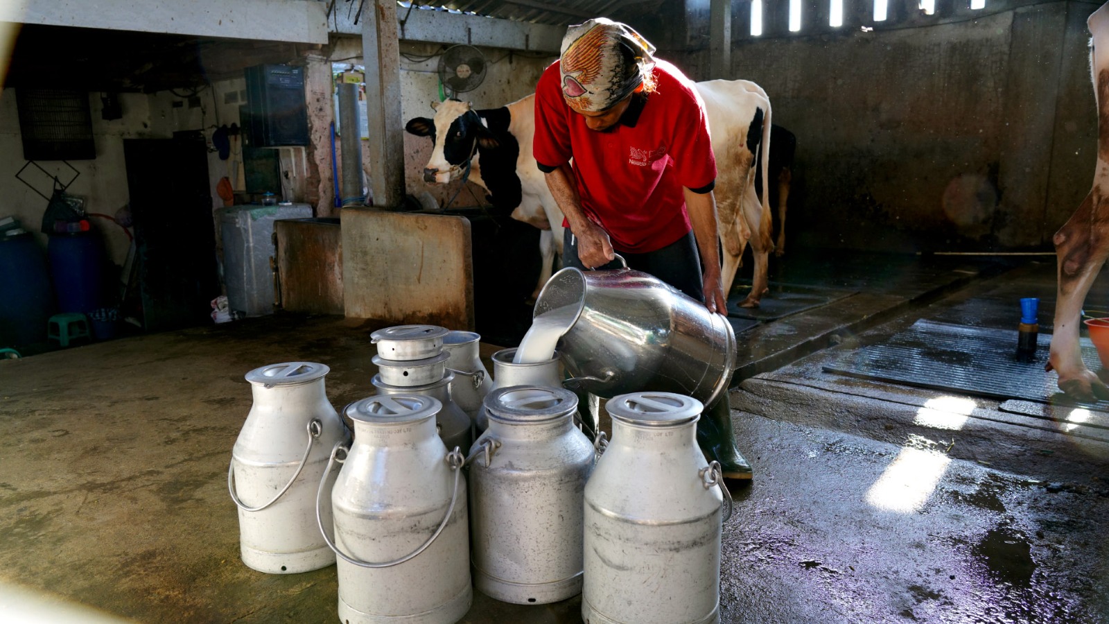 Departemen Milk Procurement & Dairy Development PT Nestlé Indonesia 