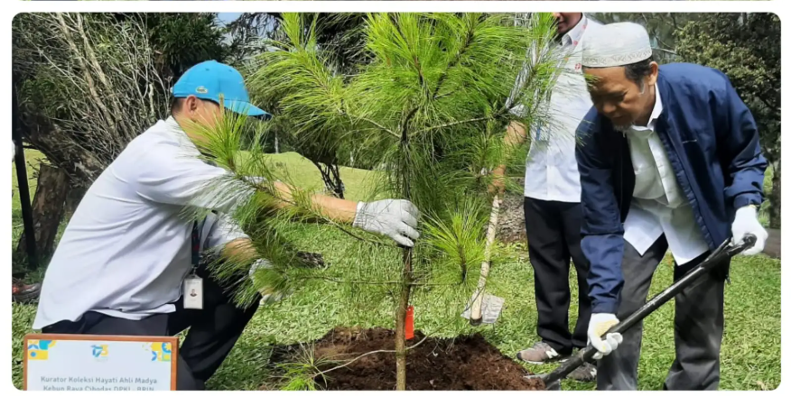 173 Tahun Kebun Raya Cibodas: Peran dan Upaya Pelestarian Tumbuhan Indonesia Secara Berkelanjutan