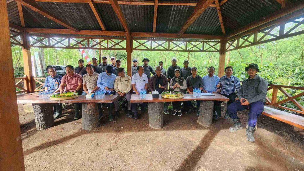 Java Coffee Estate Perkuat Standar Ekspor Kopi Premium 
