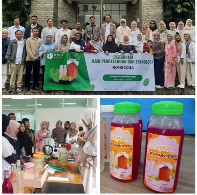 Peneliti BRIN ungkap nilai ekonomis buah Sempur (foto - BRIN)