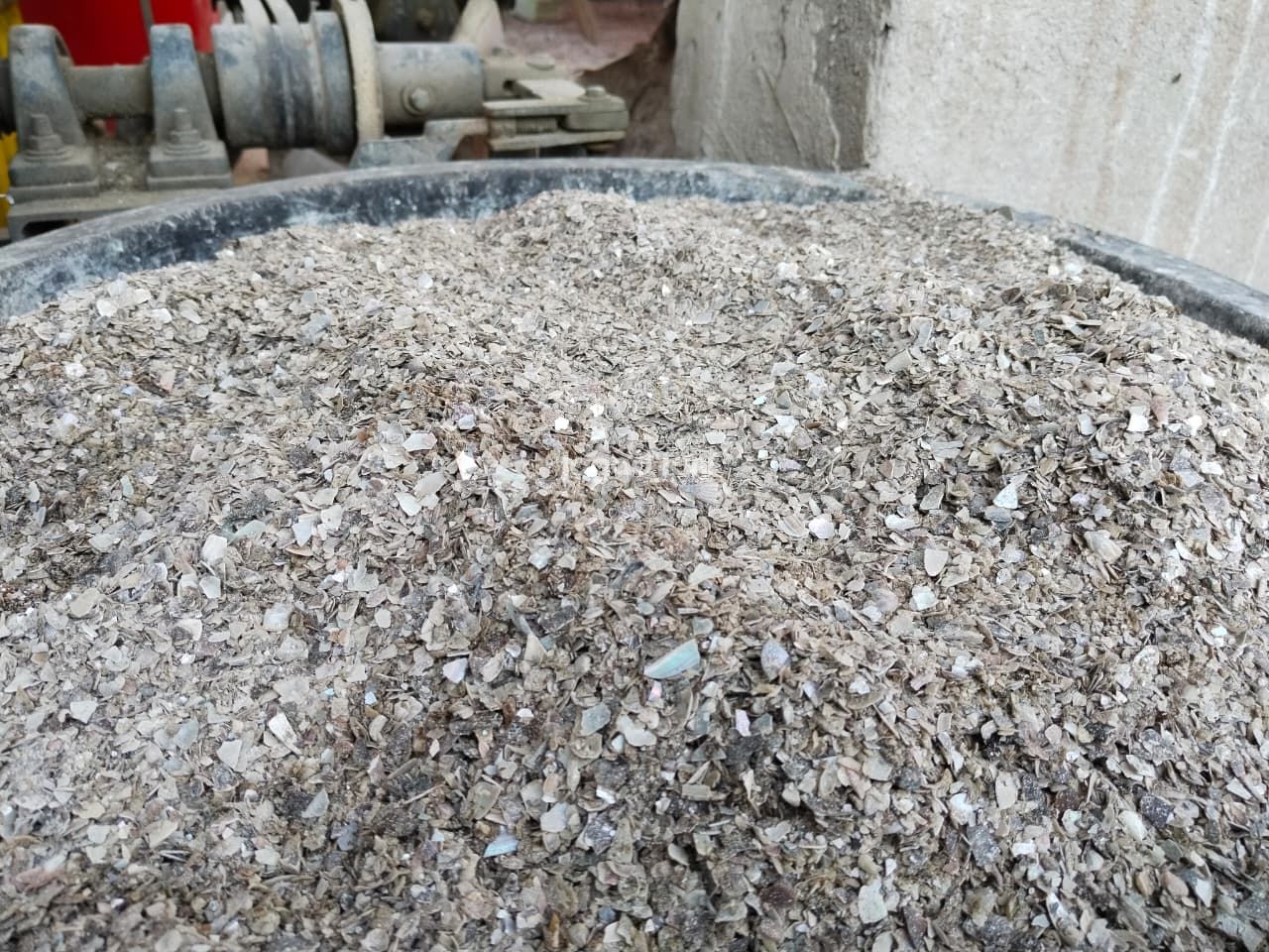 Limbah Kerang Hijau yang diambil dari pinggiran laut, setelah dikeringkan, lalu ditumbuk dan dibuat menjadi beberapa ukuran, mulai dari yang halus hingga yang masih bertekstur. (Jagadtani/Rahmat Iskandar Rizki)