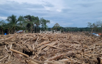 uploads/gallery/2025/12/tumpukan-kayu-banjir-54882318d4853fb_cover_400.jpeg