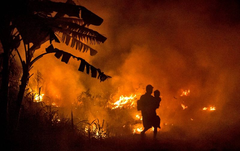 uploads/news/2019/12/demi-mencegah-kebakaran-hutan-848794b84250b84.jpg