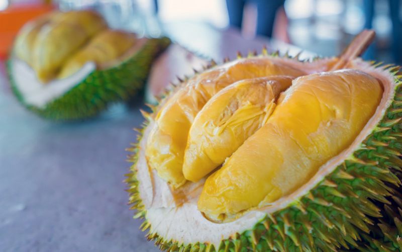 uploads/news/2020/06/durian-si-raja-nutrsi-64533b9fb9d37bd.jpg
