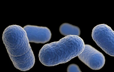 uploads/news/2020/06/mengenal-bakteri-listeria-monocytogenes-56520001ccc2aff_400.jpg