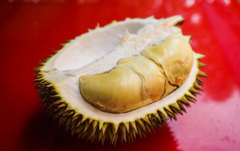 uploads/news/2021/10/fakta-makan-durian-saat-56812f310bfaa17.jpg