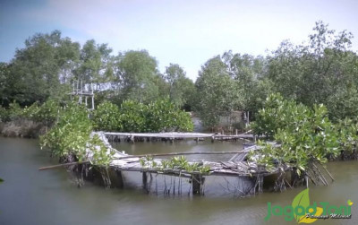 uploads/news/2021/11/mangrove-solusi-menggilanya-ombak-54303535cb90c5b_400.jpg