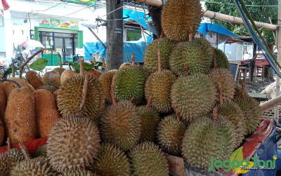 uploads/news/2021/12/ini-cara-mengetahui-durian-237509e90b49008_400.jpg
