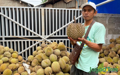 uploads/news/2022/10/nikmatnya-durian-lokal-di-18449507c829148_400.jpeg