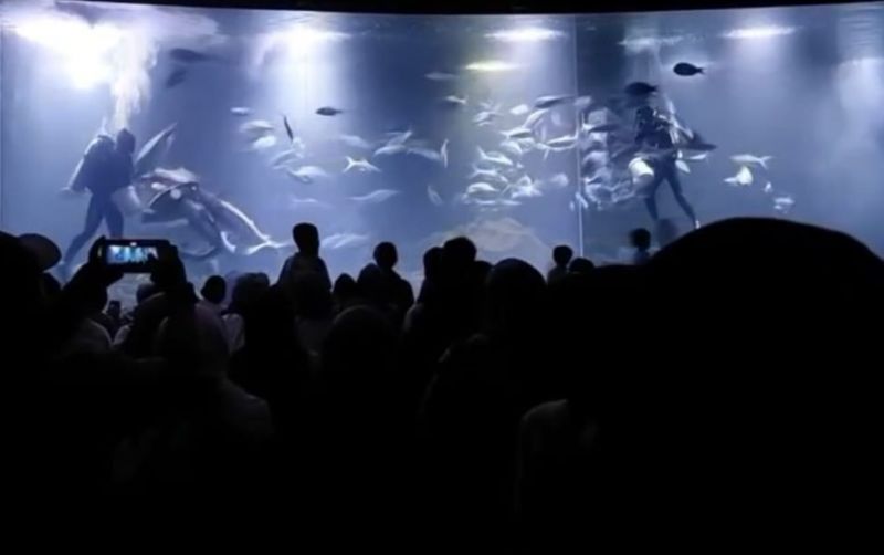 uploads/news/2023/04/aquarium-indonesia-liburan-pintar-89205cc37e63dca.jpeg