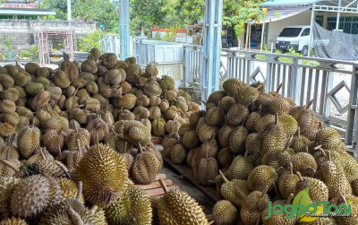 uploads/news/2023/05/perluas-lahan-budidaya-durian-72533328b7a08d1_400.jpg
