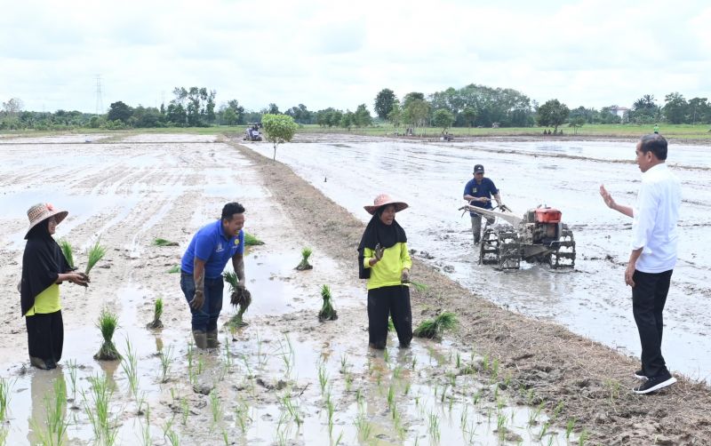 uploads/news/2024/06/atasi-kekeringan-jokowi-tinjau-2606495f918d7ac.jpeg