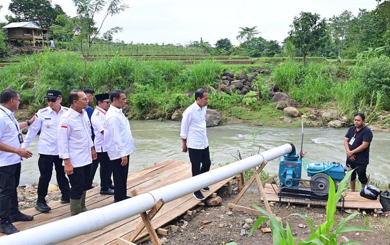 uploads/news/2024/07/-jokowi-optimis-pompanisasi-mendongkrak-36848f7562be0b0.jpg