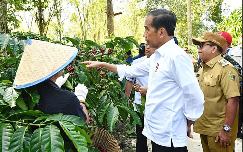 uploads/news/2024/07/presiden-jokowi-dorong-peningkatan-573395edebf719f.jpg