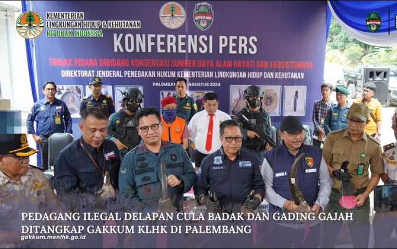 uploads/news/2024/08/gakkum-klhk-tangkap-pedagang-7252212c94a7811.jpeg