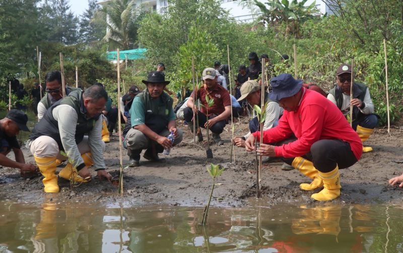 uploads/news/2024/08/hijaukan-pesisir-pangandaran-kkp-900902a95cfca4c.jpg