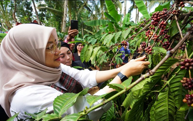 uploads/news/2024/08/kopi-robusta-banyuwangi-diverifikasi-20798e33a4dfabb.jpeg