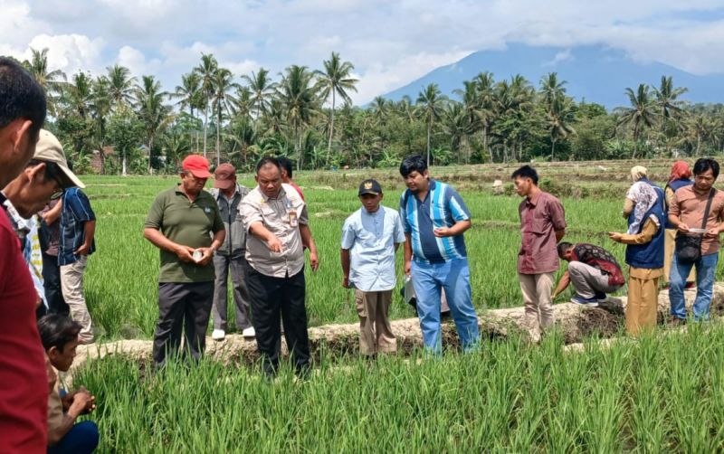 uploads/news/2024/09/bsip-lampung-adakan-sl-749246853a854a0.jpg