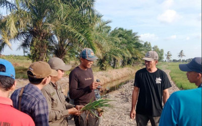 uploads/news/2024/09/identifikasi-lahan-demi-peningkatan-79796eea20d7910_400.jpg