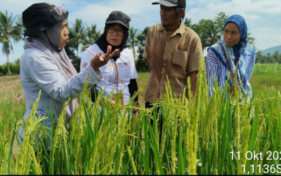 uploads/news/2024/10/monitoring-perkembangan-produksi-benih-81371512bd09052_400.jpg